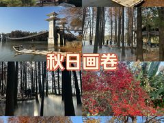 -东湖落雁景区