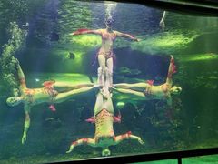 -大明湖海底世界