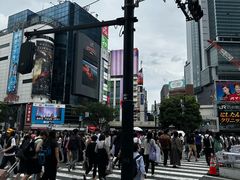 -涩谷全向十字路口