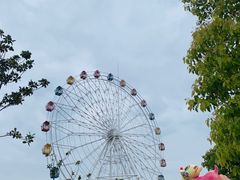 -如皋市龙游湖欢乐世界