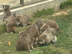 -秦皇岛野生动物园