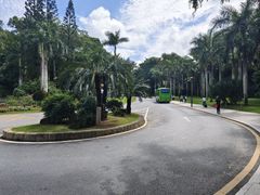 -深圳仙湖植物园
