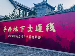 -阳台山自然风景区