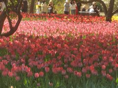 -长春公园(普阳街道)