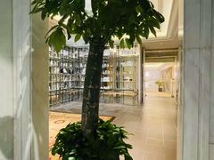 -上海外滩华尔道夫酒店