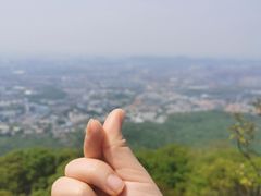 -紫金山山顶公园