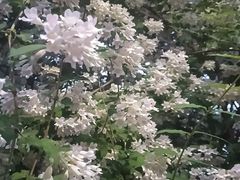 -老君堂公园