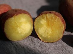 -浙江同济科技职业学院餐厅