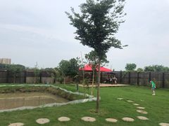 -南汇新场正宗水蜜桃采摘