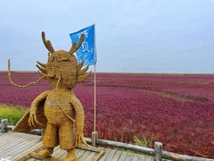 -红海滩国家风景廊道