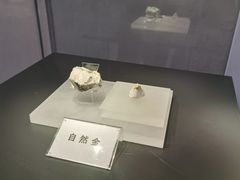-贵州省地质博物馆