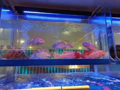 -南海渔村(珠江新城店)
