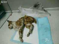 android_upload_pic-盛京一禾