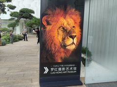 -罗红摄影艺术馆