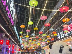 -刘姐啤酒鱼民族演艺餐厅(西街总店)
