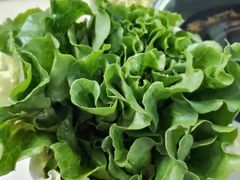 -墨脱石锅椰子鸡•香草鸭•东山羊(大东海店)