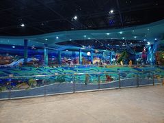 -青岛嘉年华主题乐园