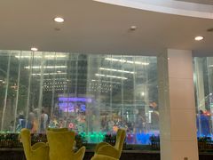 -南宫温泉水世界