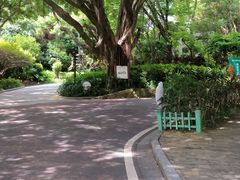 -金鸡山公园