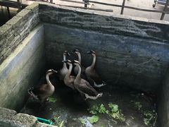 -邹记·美食(斗门店)