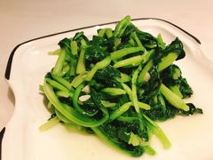 清炒鸡毛菜-19号私房菜(云南路店)