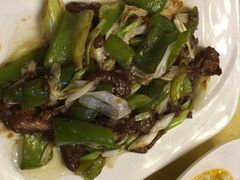 -丁老爷子苏香圆