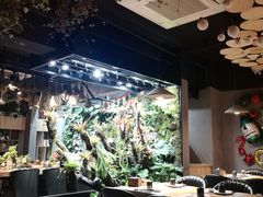 大堂-森味薪火烧•烧鸟居酒屋•日本料理(望京店)