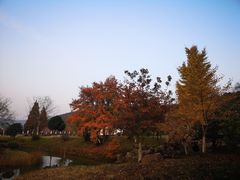 -龙寺生态园