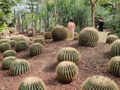 -呀路古热带植物园