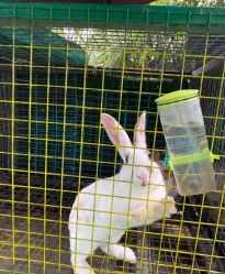 -可可天空农场(中大店)