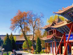 -张掖大佛寺景区