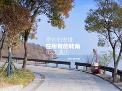 -巢湖姥山岛