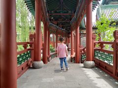 -迎泽公园