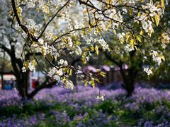 -江苏三台山国家森林公园