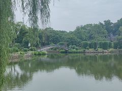-雨湖公园