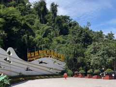 -西双版纳原始森林公园