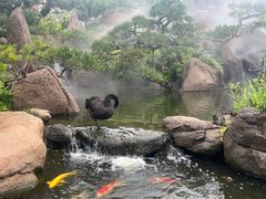 -罗红摄影艺术馆