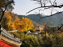 -潭柘寺景区