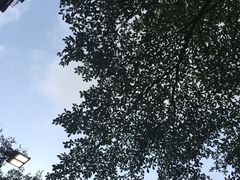 -星巴克(深圳罗湖书城店)