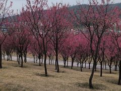 -牛岗山公园