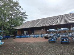 -大湾区中央湿地公园