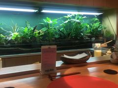 -泉寿司(万科公园店)