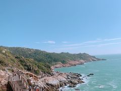 -广东惠东海龟国家级自然保护区