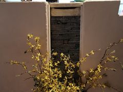 -翡翠鸟精品泰国菜(北辰财富中心店)