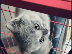 -第三空间·趣味桌游·轰趴.室内CS.剧本杀(大武汉1911店)