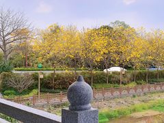 -国恩寺