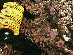 大堂-绿茶餐厅(昌平悦荟店)