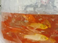 -帝京日语(春熙路旗舰校区)