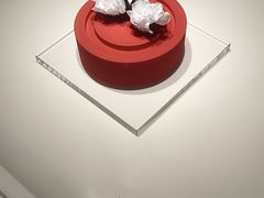 -罗红摄影艺术馆