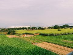 -宝龙广场(福州台江店)